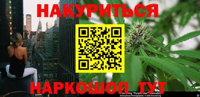 альфа пвп Волгодонск